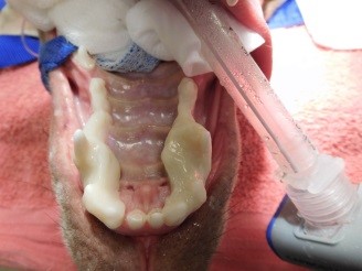 Orthodontics