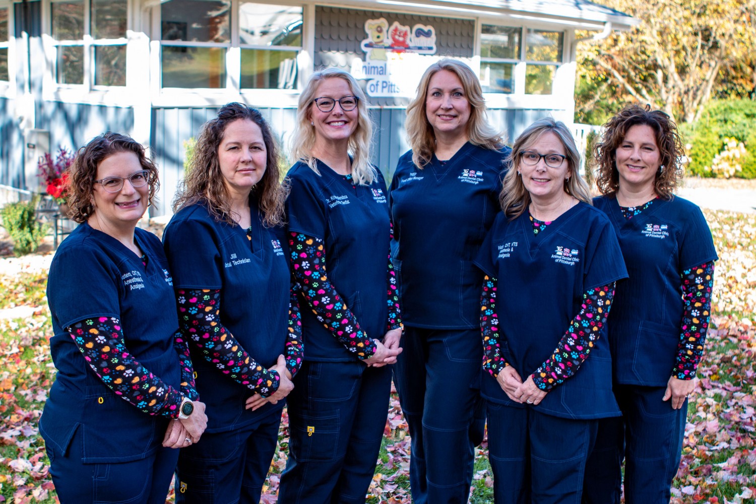 Our Dental Team