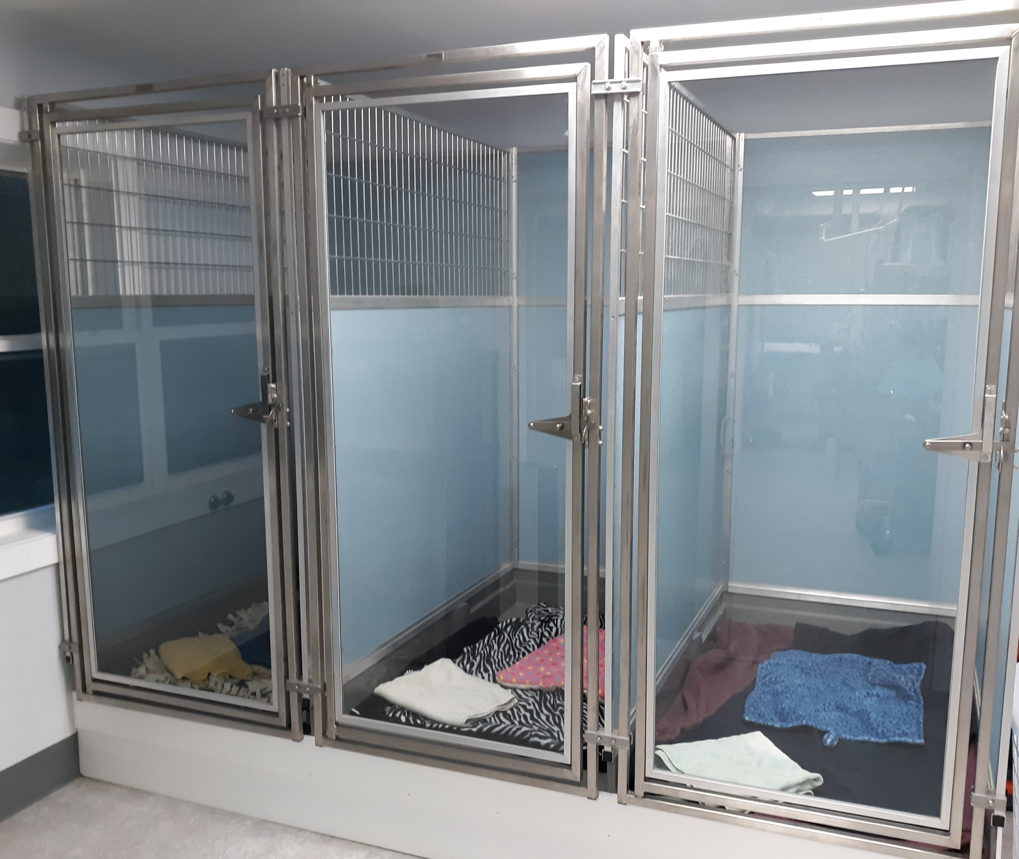 Large Recovery Kennel