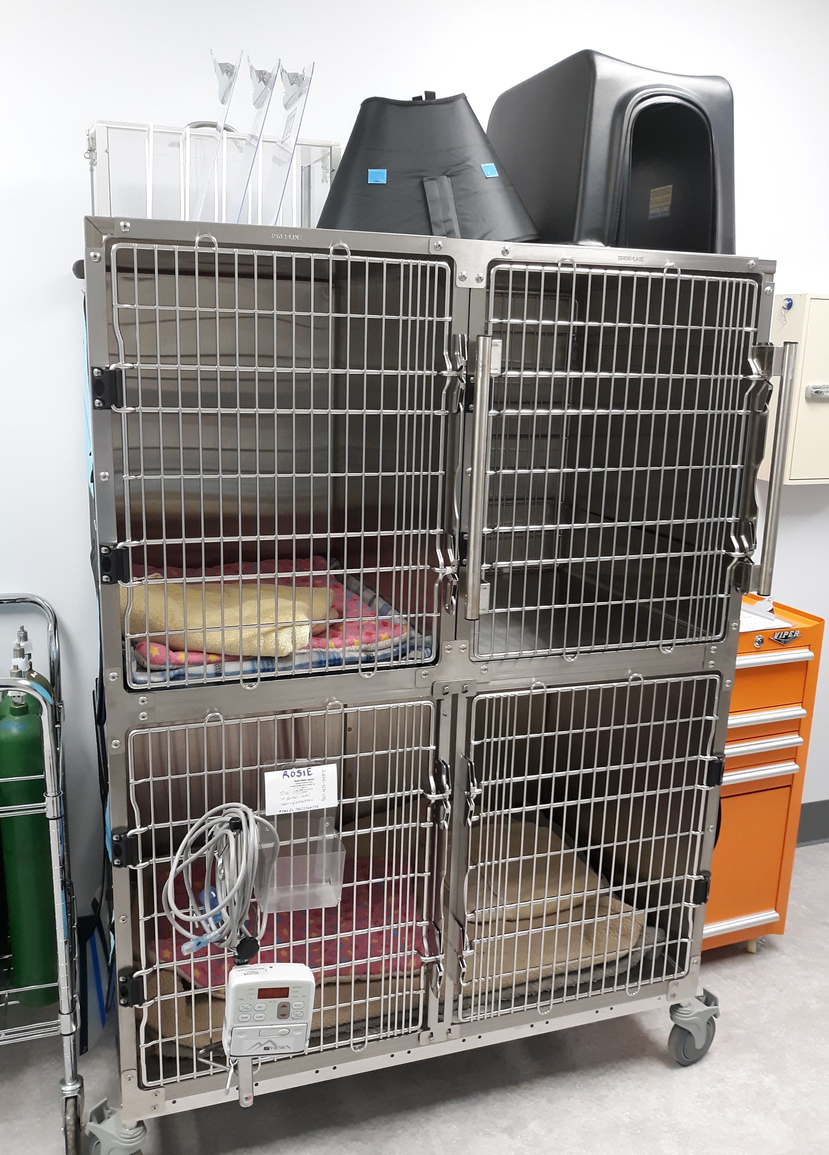 Small Recovery Kennel