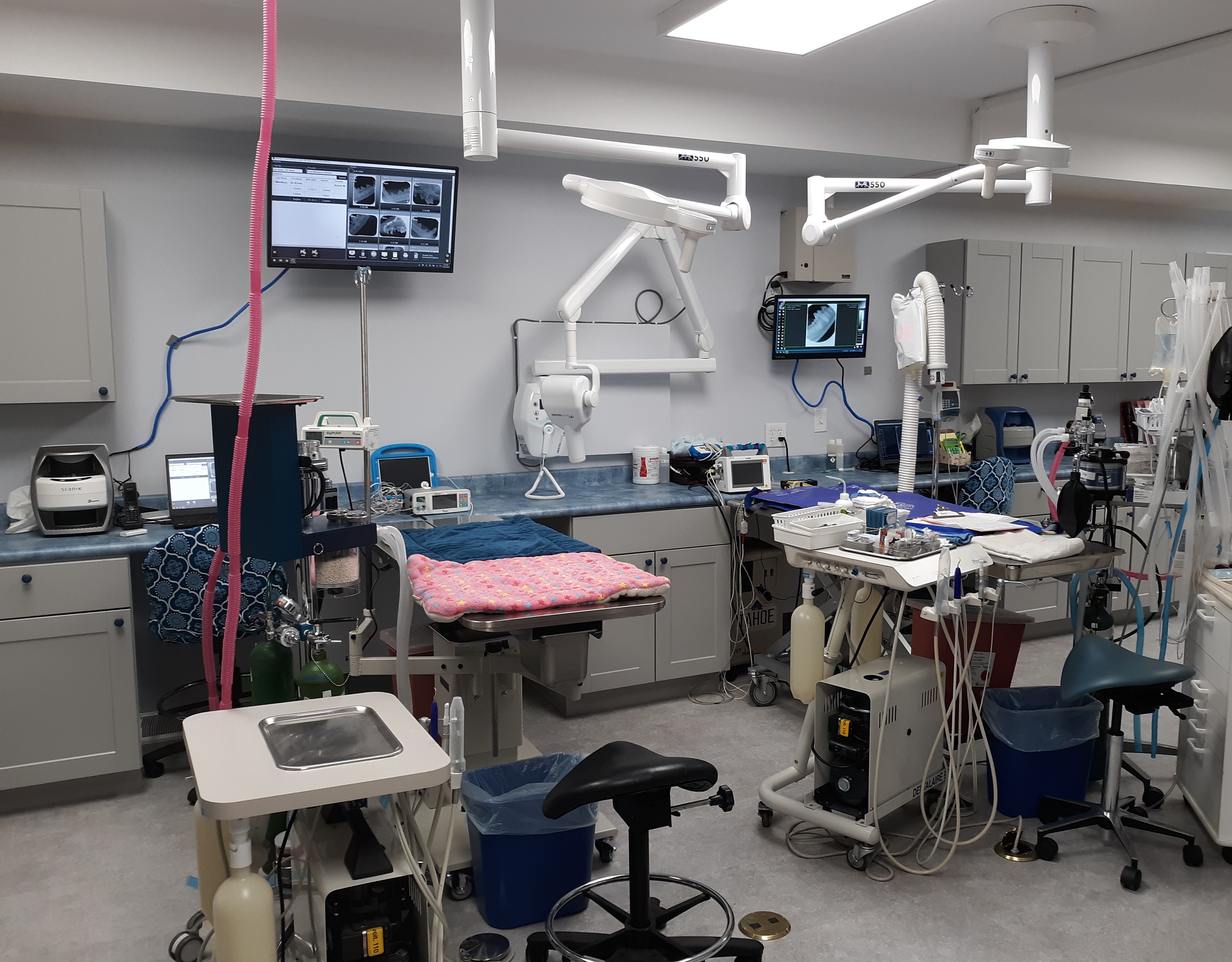 Surgical Suite