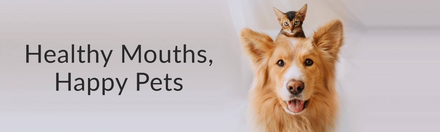 Healthy Mouths, Happy Pets Banner